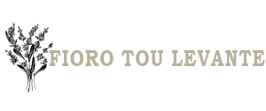 Logo-footer